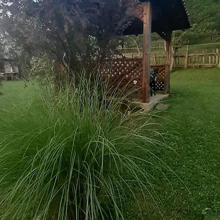 Kuca Za Odmor Kalina Villa Mokra Gora Exteriör bild