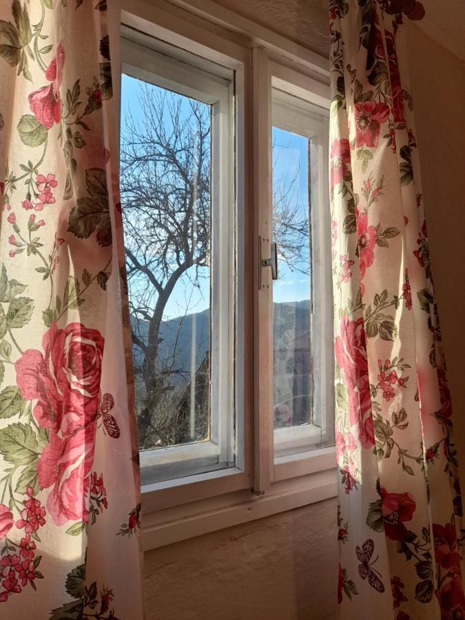 Kuca Za Odmor Kalina Villa Mokra Gora Exteriör bild