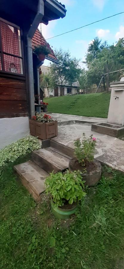 Kuca Za Odmor Kalina Villa Mokra Gora Exteriör bild