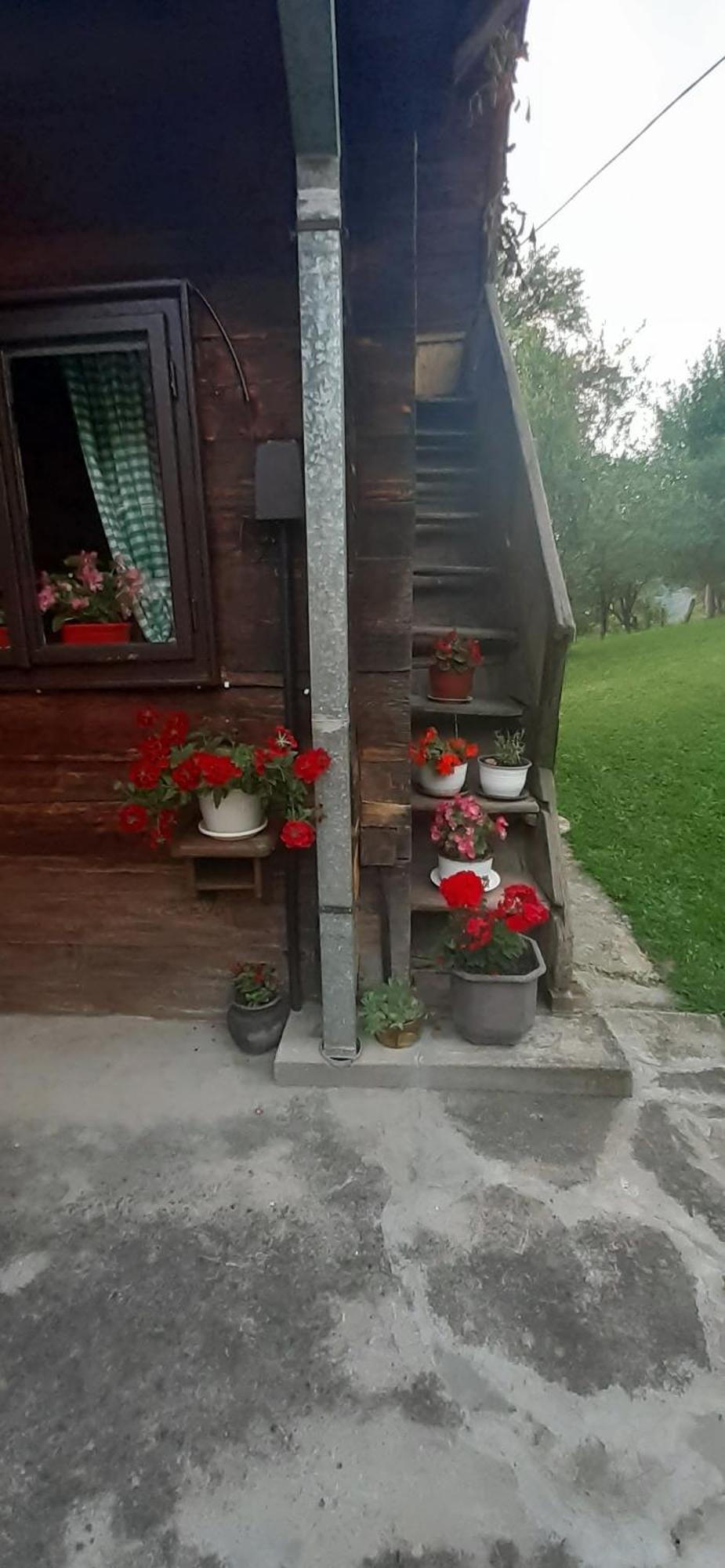 Kuca Za Odmor Kalina Villa Mokra Gora Exteriör bild